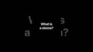 Ostomy Education with Frank and Lizzie: What is a Stoma?