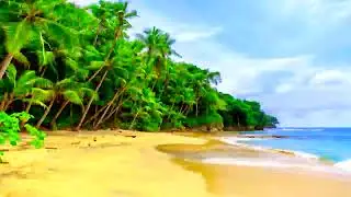 SOUNDS OF BEACH NEAR A FOREST (10 HOUR LONG)
