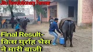 👍FULL Video: FINAL RESUT of MILKING Competition of TOP MURRAH Buffaloes. @GVH Titoli Rohtak👍