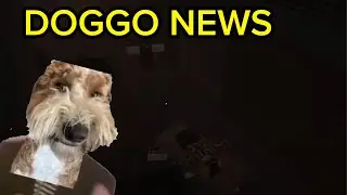 Doggo News