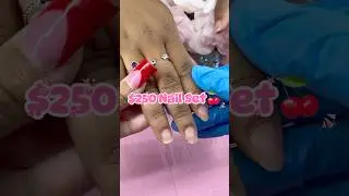 $250 nail set🤑 #nailsnailsnails #acrylicnails #nailtech