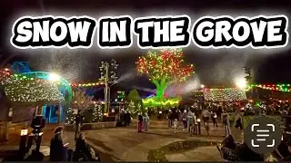 Dollywood Express Appears During Snow in the Grove Christmas Show