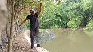 cara cepat!!,5nenit mengangkat 2x dapat bayak,