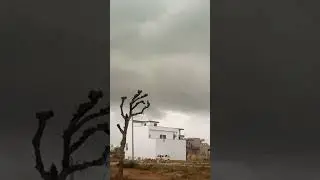 monsoon season of rajasthan #viralshort #rajasthaniclture #rain #viral #shorts