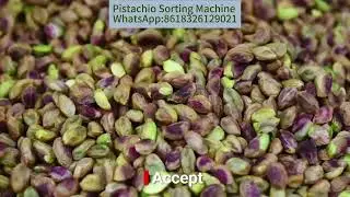 Pistachio Sorting Machine#pistachio #grain #sortingmachine #colorsorter #nutssorter WA:8618326129021
