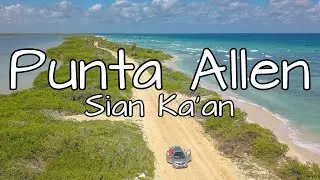 Punta Allen en Sian Ka an! ✅ ¿Cuánto cuesta? ¿Cómo llegar? 🐬🐢🐊 Lancha para ver delfines #rivieramaya