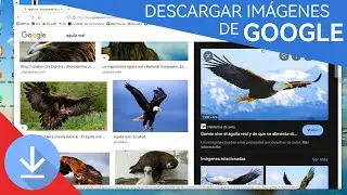 Como DESCARGAR IM&Aacute;GENES de GOOGLE✨💻💯