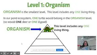 Levels of Organization in an Ecosystem