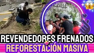 ARMY BTS: El fandom más poderoso, presidentes, revendedores y reforestación