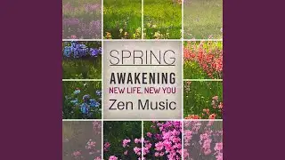 Ambient Music Therapy (Buddha Healing)