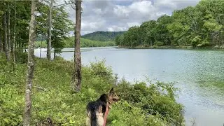 Lake View Loop Trail at Summersville Lake, WV