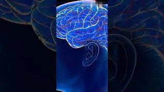 Facts vs friction amazing science myth