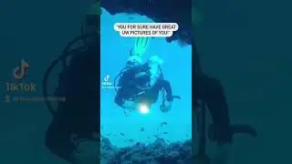 #memes #scubadiving #buceo #uw #underwater