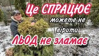 Можете не вірити.АЛЕ ЦЕ СПРАЦЮЄ.