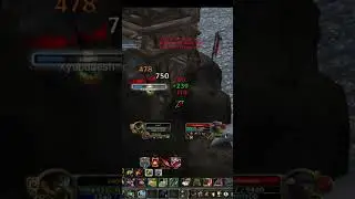 Twinking in Borean with BM Hunter 70lvl  WOTLK  #warmane #pvpwowwotlk