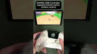 Not only a PC controller but also perfect on Switch #manba #gaming #switch
