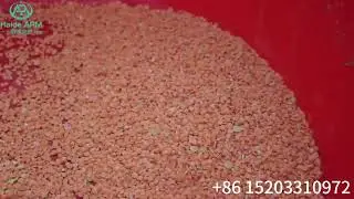 Lentils  Peeling and Splitting machine beans peeling machine beans splitting #lentils peeling