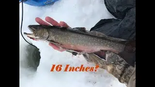 Brook Trout Ice Fishing - BIG fish off the Beaten Path