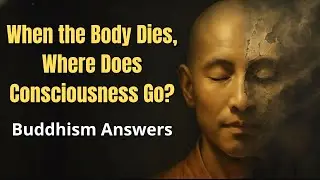 When the Body Dies, Where Does Consciousness Go? Buddhism Answers