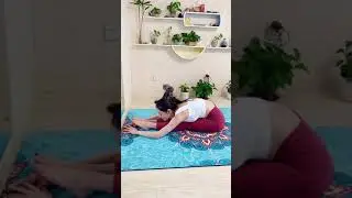 EASY Yoga Poses for Complete Beginners 🧘 Yoga With Helen