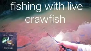 Fishing with live crawfish in Elkhorn Creek