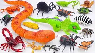 ZURU ROBO ALIVE COLLECTION | UNBOXING Robo Lizard, Robo Anaconda Snake, Robo Scorpion | ASMR