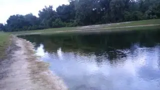 Impact lures