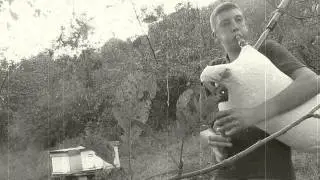 Srpske gajde-cacak