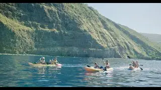 Kayak & Snorkel Tour in Kealakekua Bay - Unforgettable Adventure