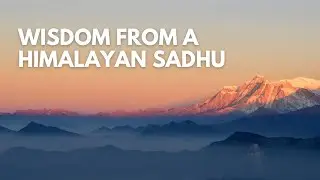 Himalayan Sadhu Digambar Purnamgiri Ji on science behind old traditions and the Vedas #yt 