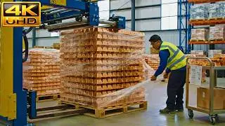 There&rsquo;s More Gold Here Than a Mine! (Circuit Board Recycling Process)