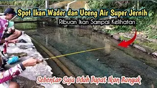 Nolnil!!! Mancing Uceng Dan Wader Babon Di Sungai Air Jernih