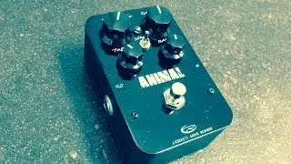 Rockett Animal Overdrive, demo by Pete Thorn