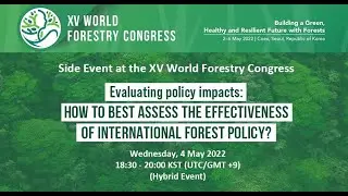 Evaluating policy impacts: How to best assess the effectiveness of international forest policy?