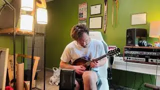 2021 Pava A-5 Pro mandolin
