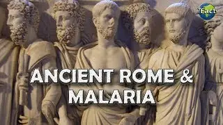 The fall of Rome and Malaria
