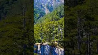 Crimea Mountain 🇷🇺Russia #forest #nature #naturephotography #photography #wildlife #naturelovers
