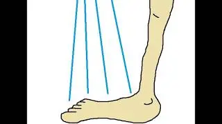 How to take a shower, Hur man duschar