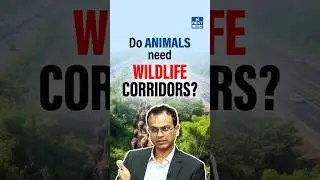 Why Wildlife Corridors Are Crucial for Animal Survival in India | UPSC | NEXT IAS