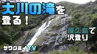 【沢登り】屋久島　大川の滝登攀