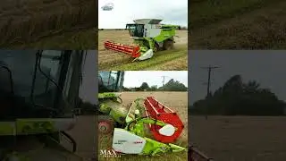 Lexion 660 TT clearing the acres