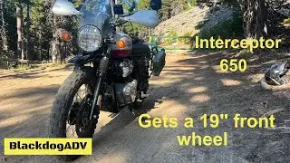 19