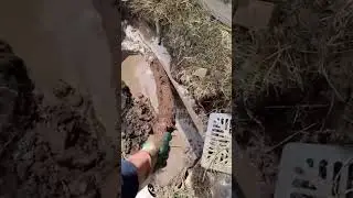 Сильно засорившаяся сливная труба открывается &mdash; прочистка слива