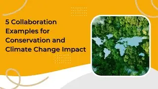 5 Cross-Sector Collaboration Examples for Conservation and Climate Change Impact