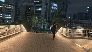 東京駅から秋葉原駅まで歩くだけの動画
