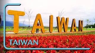 Taiwan Treasures - Discovering Hidden Gems | myDOCS travel
