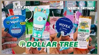 DOLLAR TREE🚨THEY ARE HERE FOR $1.25&hellip;NEW ARRIVALS‼️ #dollartree #new #shopping | Charity x Style