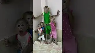 Adorable Monkey Compilation 😂 #FunnyAnimals #CutePets #MustWatchTillEnd