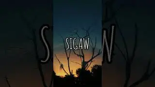 MRKTHSDY - SIGAW