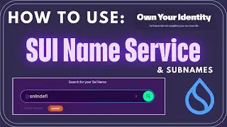 How to Use SUI Name Service & Subnames